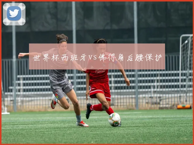 世界杯西班牙vs佛得角后腰保护