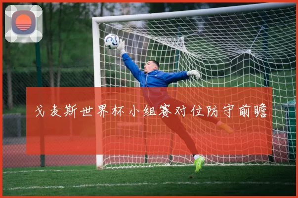 戈麦斯世界杯小组赛对位防守前瞻