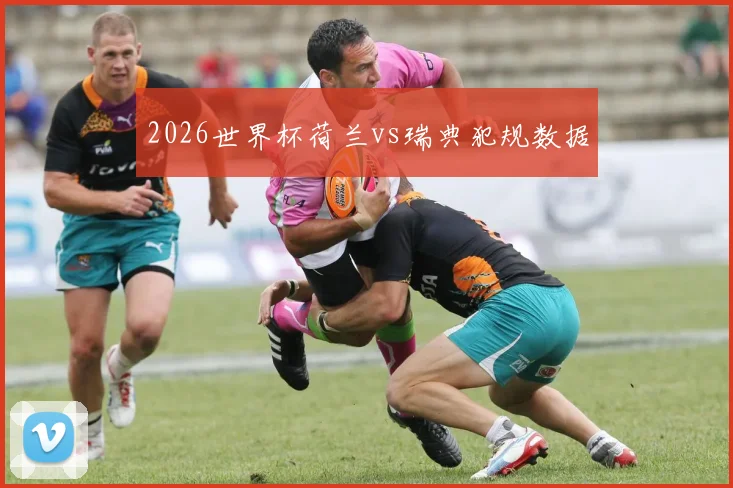 2026世界杯荷兰vs瑞典犯规数据