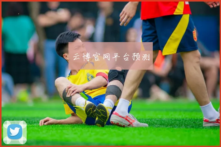 云博官网平台预测