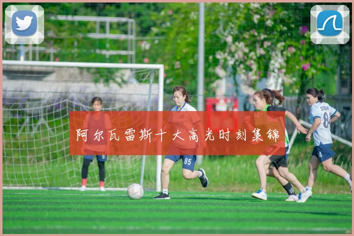 阿尔瓦雷斯十大高光时刻集锦