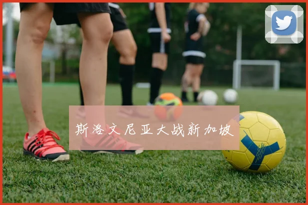 斯洛文尼亚大战新加坡