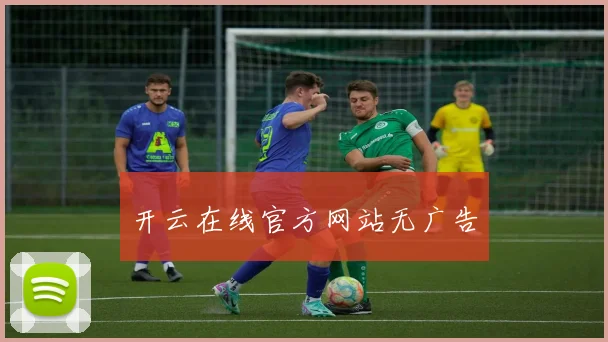 开云在线官方网站无广告