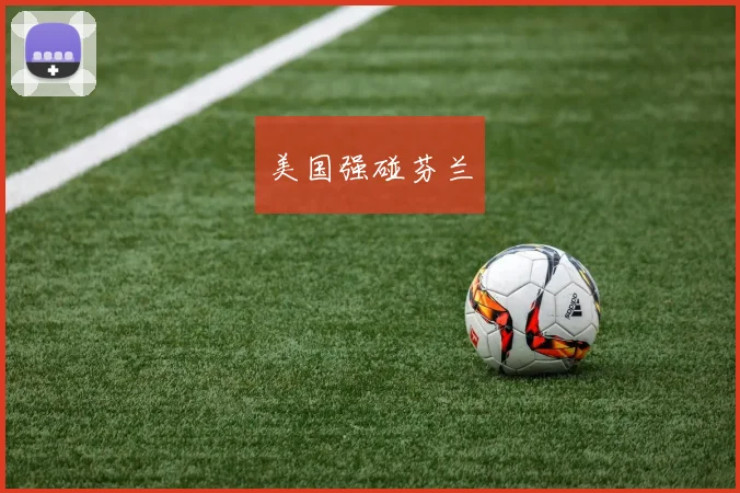 美国强碰芬兰