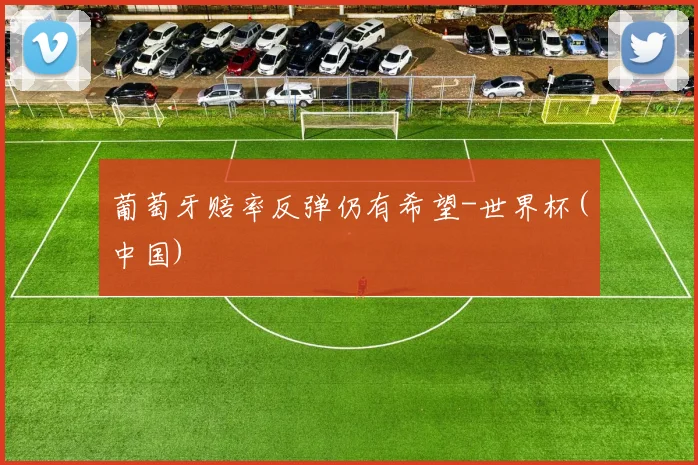 葡萄牙赔率反弹仍有希望-世界杯(中国)