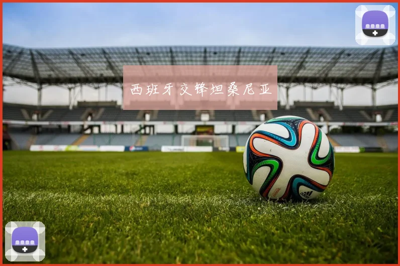 西班牙交锋坦桑尼亚