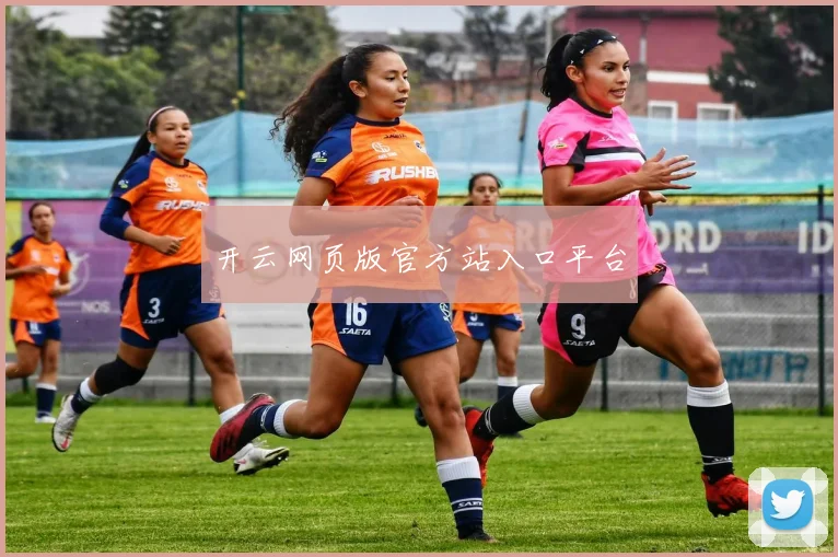 开云网页版官方站入口平台