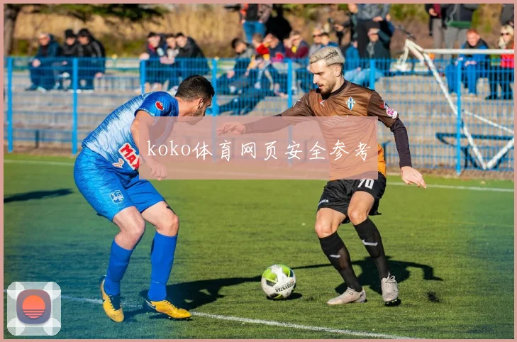 koko体育网页安全参考