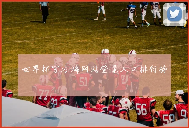 世界杯官方端网站登录入口排行榜