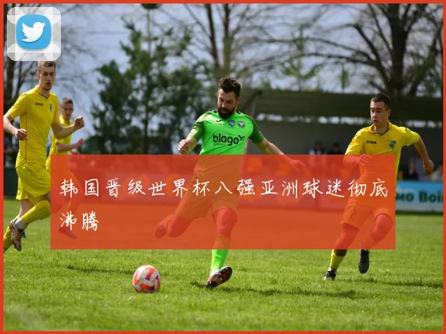 韩国晋级世界杯八强亚洲球迷彻底沸腾