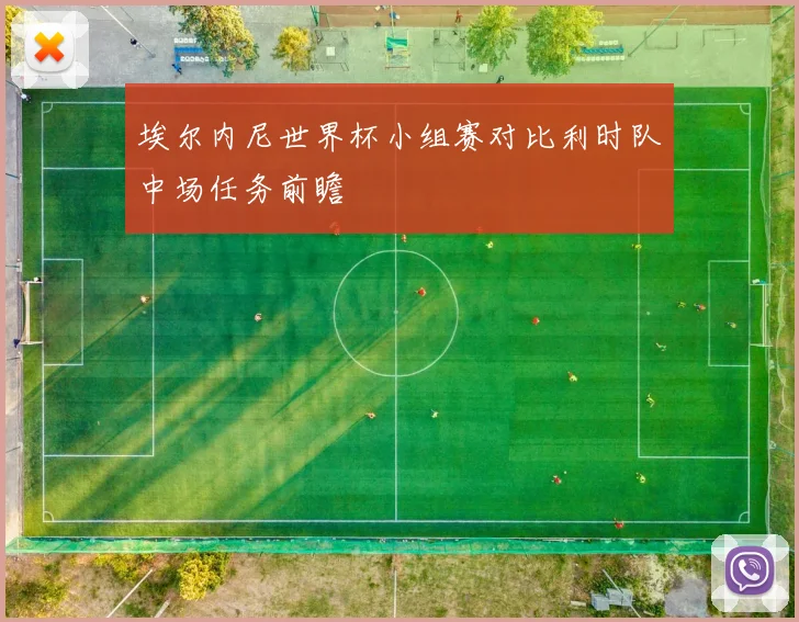 埃尔内尼世界杯小组赛对比利时队中场任务前瞻