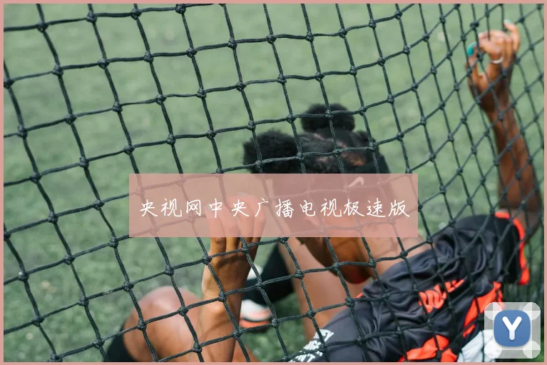 央视网中央广播电视极速版