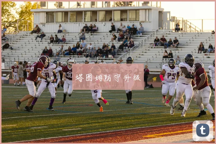 塔图姆防守升级