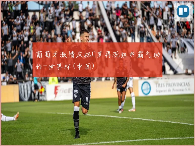 葡萄牙激情庆祝C罗再现经典霸气动作-世界杯(中国)