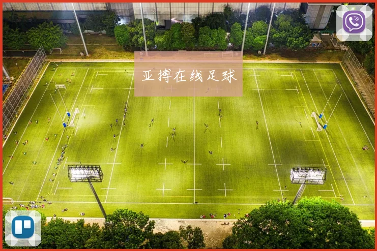 亚搏在线足球