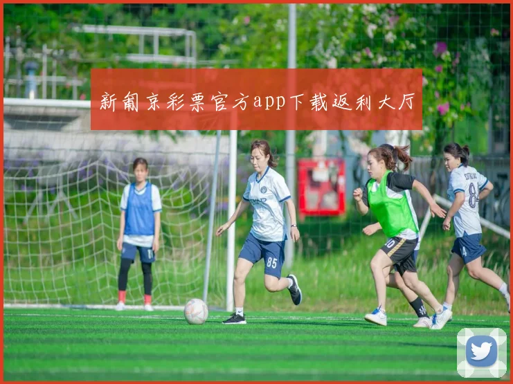 新匍京彩票官方app下载返利大厅