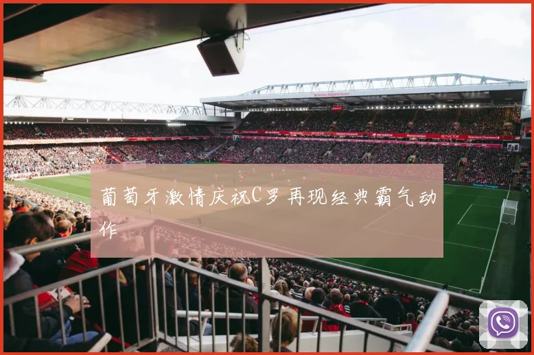 葡萄牙激情庆祝C罗再现经典霸气动作