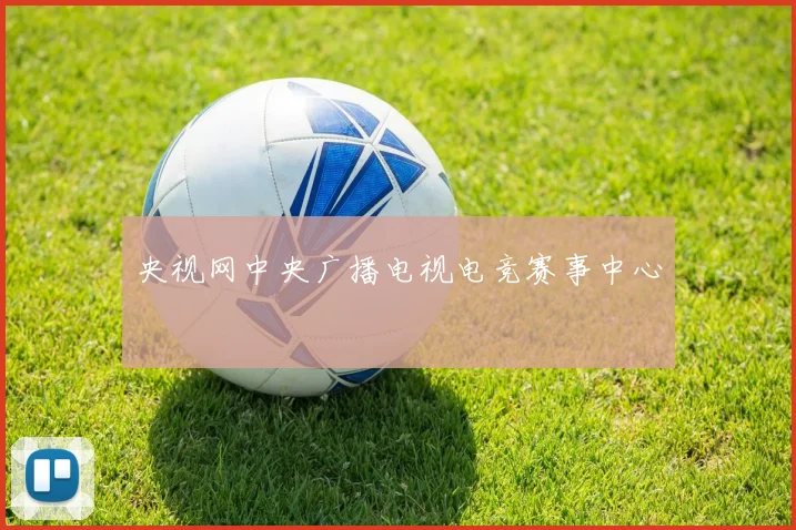 央视网中央广播电视电竞赛事中心