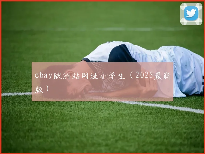 ebay欧洲站网址小学生（2025最新版）