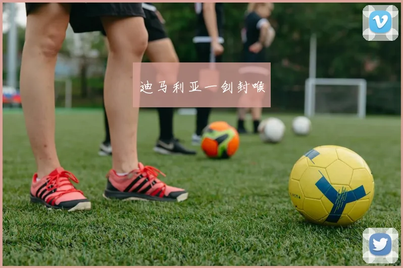 迪马利亚一剑封喉