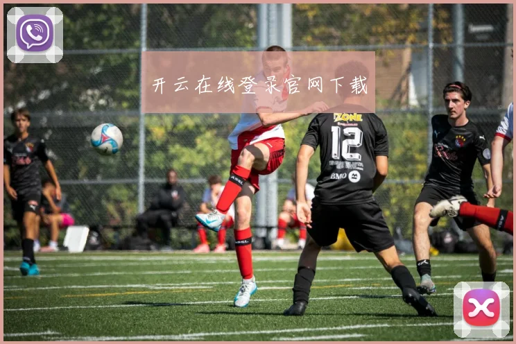 开云在线登录官网下载