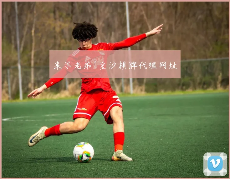 来了老弟!金沙棋牌代理网址