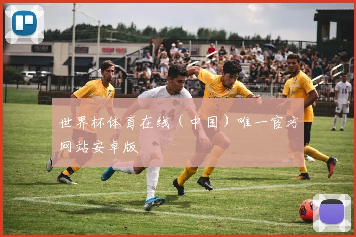 世界杯体育在线（中国）唯一官方网站安卓版