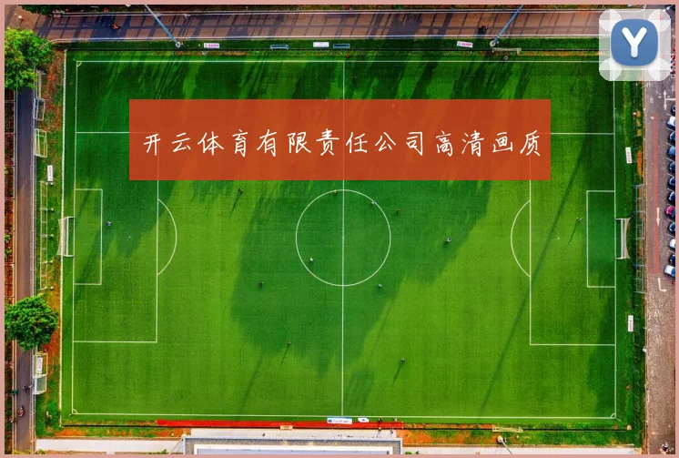 开云体育有限责任公司高清画质