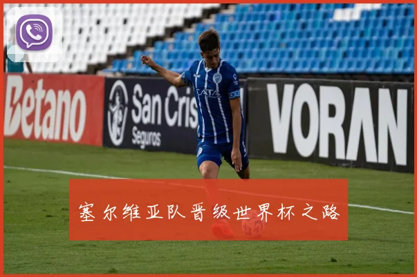 塞尔维亚队晋级世界杯之路
