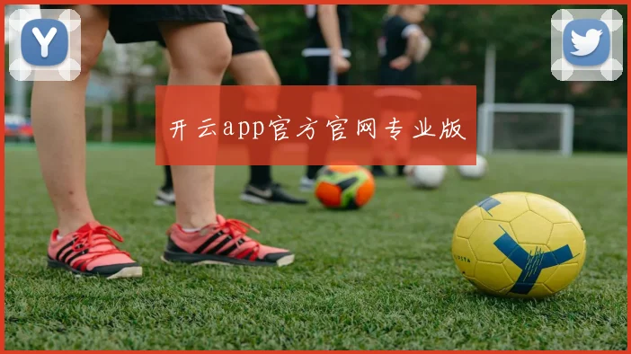 开云app官方官网专业版