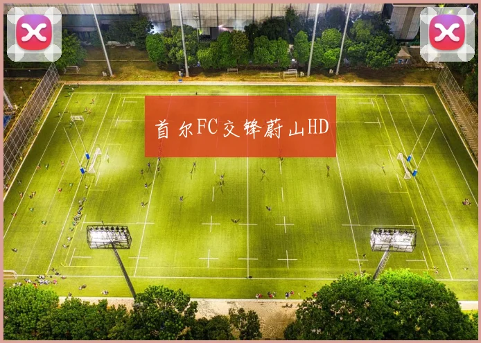 首尔FC交锋蔚山HD