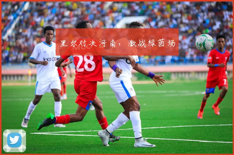 里尔对决河南，激战绿茵场