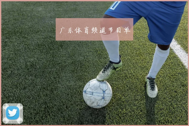 广东体育频道节目单