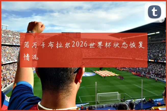 若万卡布拉尔2026世界杯状态恢复情况