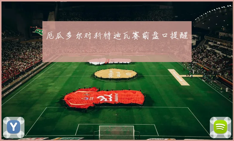 厄瓜多尔对科特迪瓦赛前盘口提醒