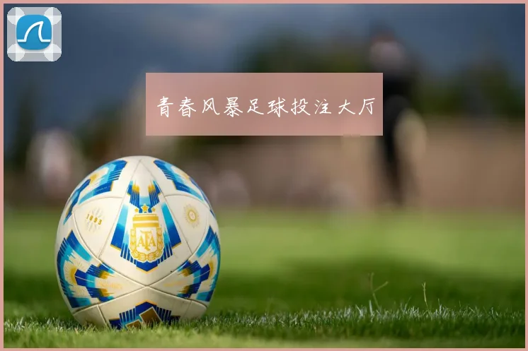青春风暴足球投注大厅