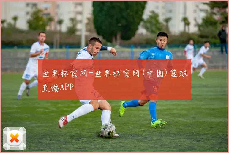 世界杯官网-世界杯官网(中国)篮球直播APP