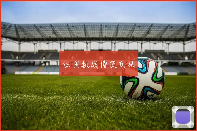 法国挑战博茨瓦纳