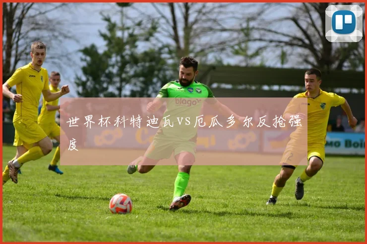 世界杯科特迪瓦vs厄瓜多尔反抢强度